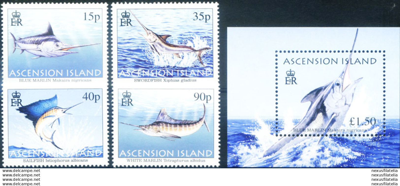 Pesca D'altura 2004. - Ascension (Ile De L')