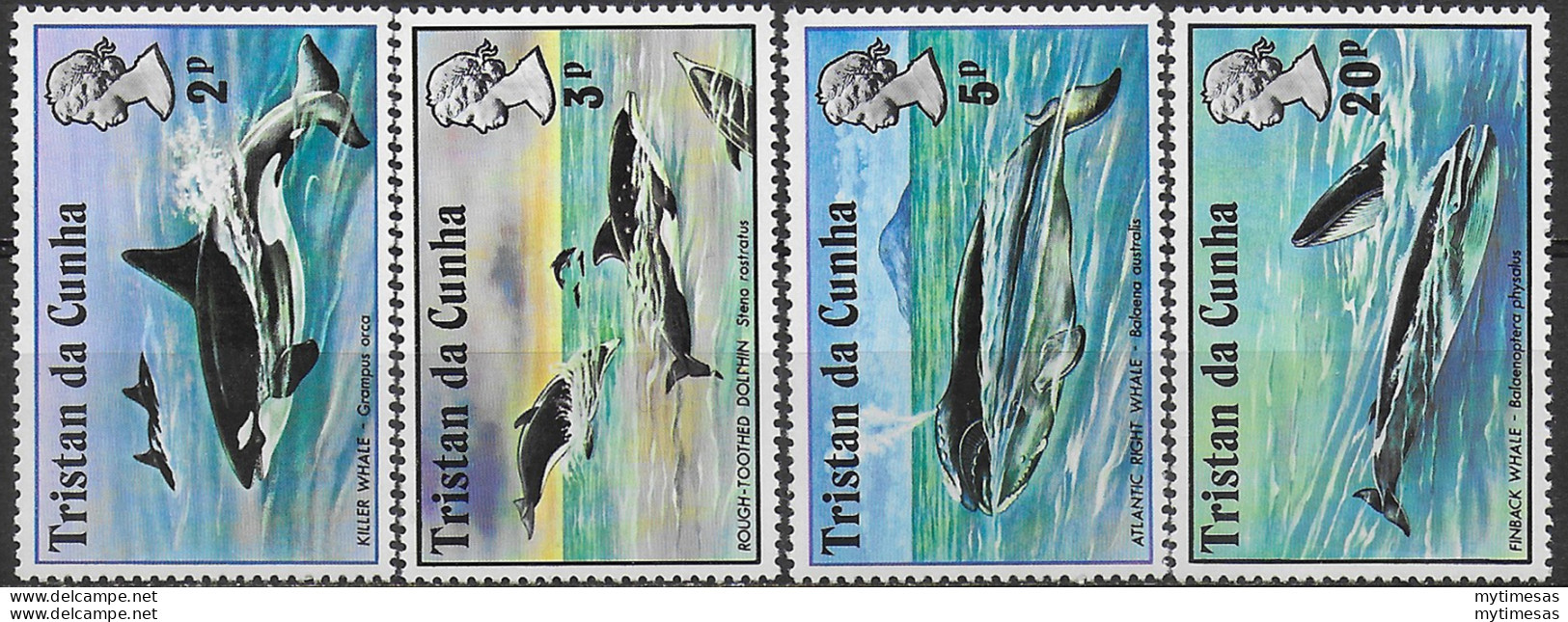 1975 Tristan Da Cunha Whales 4v. MNH SG N. 200/203 - Sonstige & Ohne Zuordnung