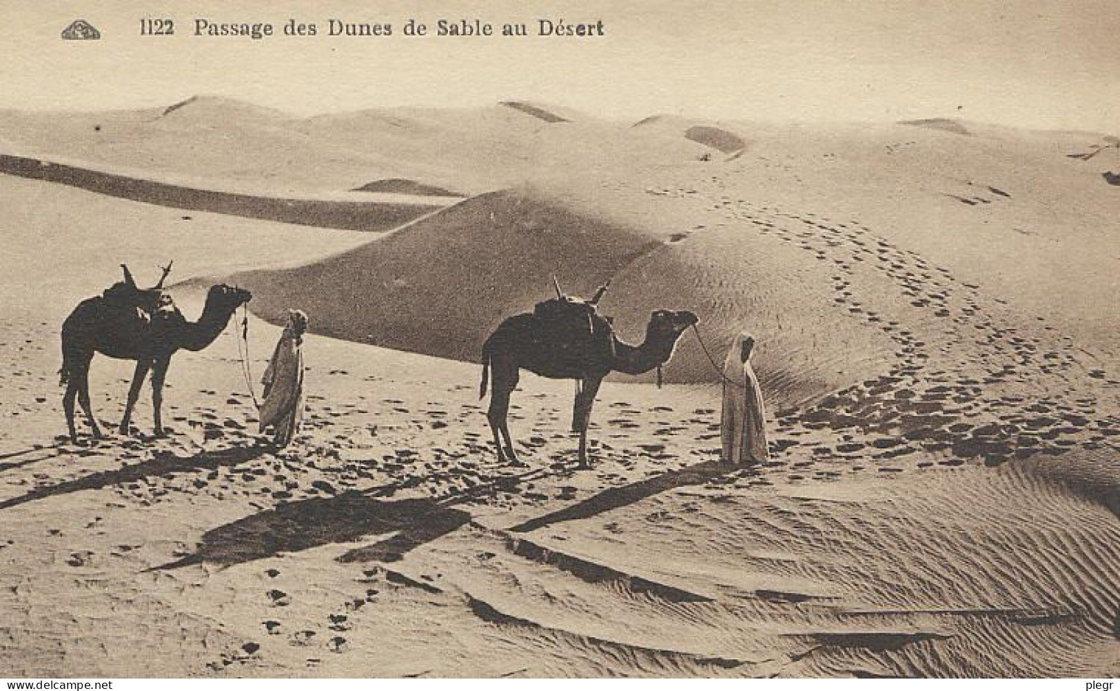 DZA00 01 12#0 - ALGERIE - PASSAGE DES DUNES DE SABLE AU DESERT - Szenen