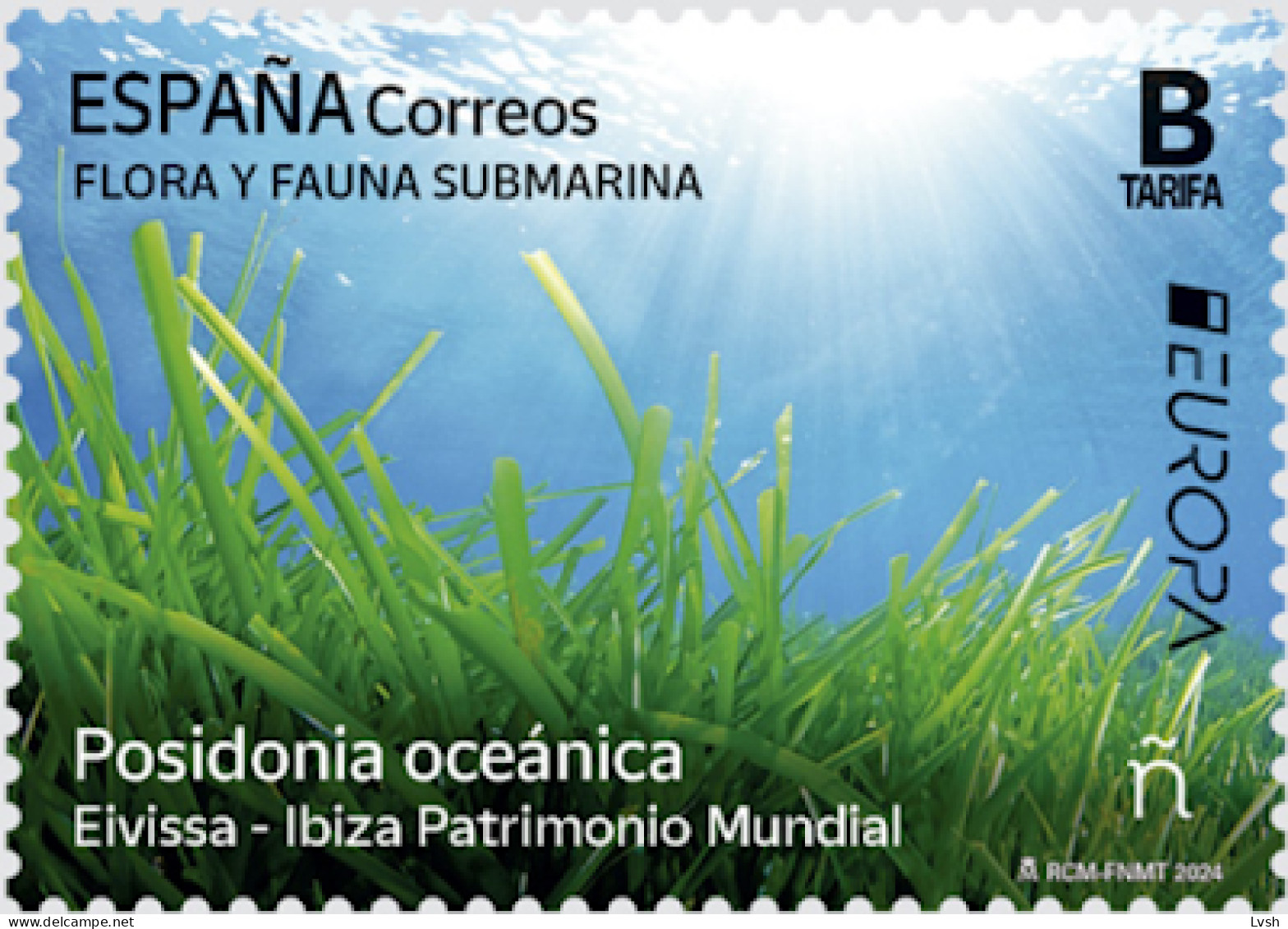 Spain.2024.Europa CEPT.Underwater Fauna And Flora.1 V. ** . - Meereswelt