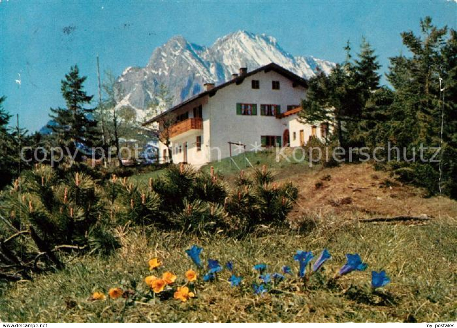 73107305 St Anton Kranzberg Wettersteinspitze St Anton Kranzberg - Garmisch-Partenkirchen