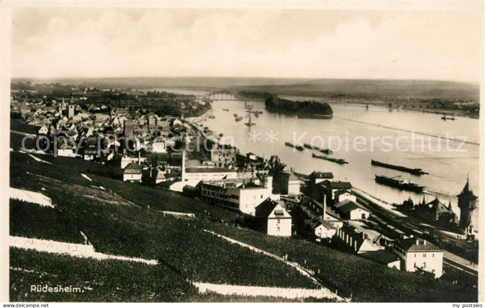 73106989 Ruedesheim Rhein Panorama Ruedesheim Rhein - Rüdesheim A. Rh.