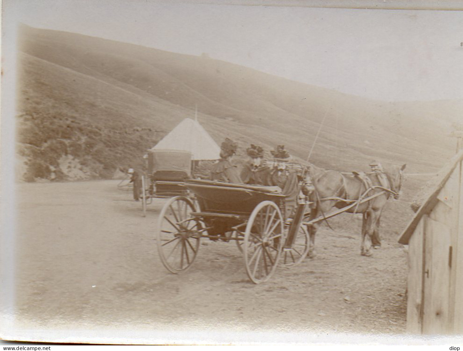 Photographie Photo Vintage Snapshot Attelage Charrette Carriole Cheval - Treinen