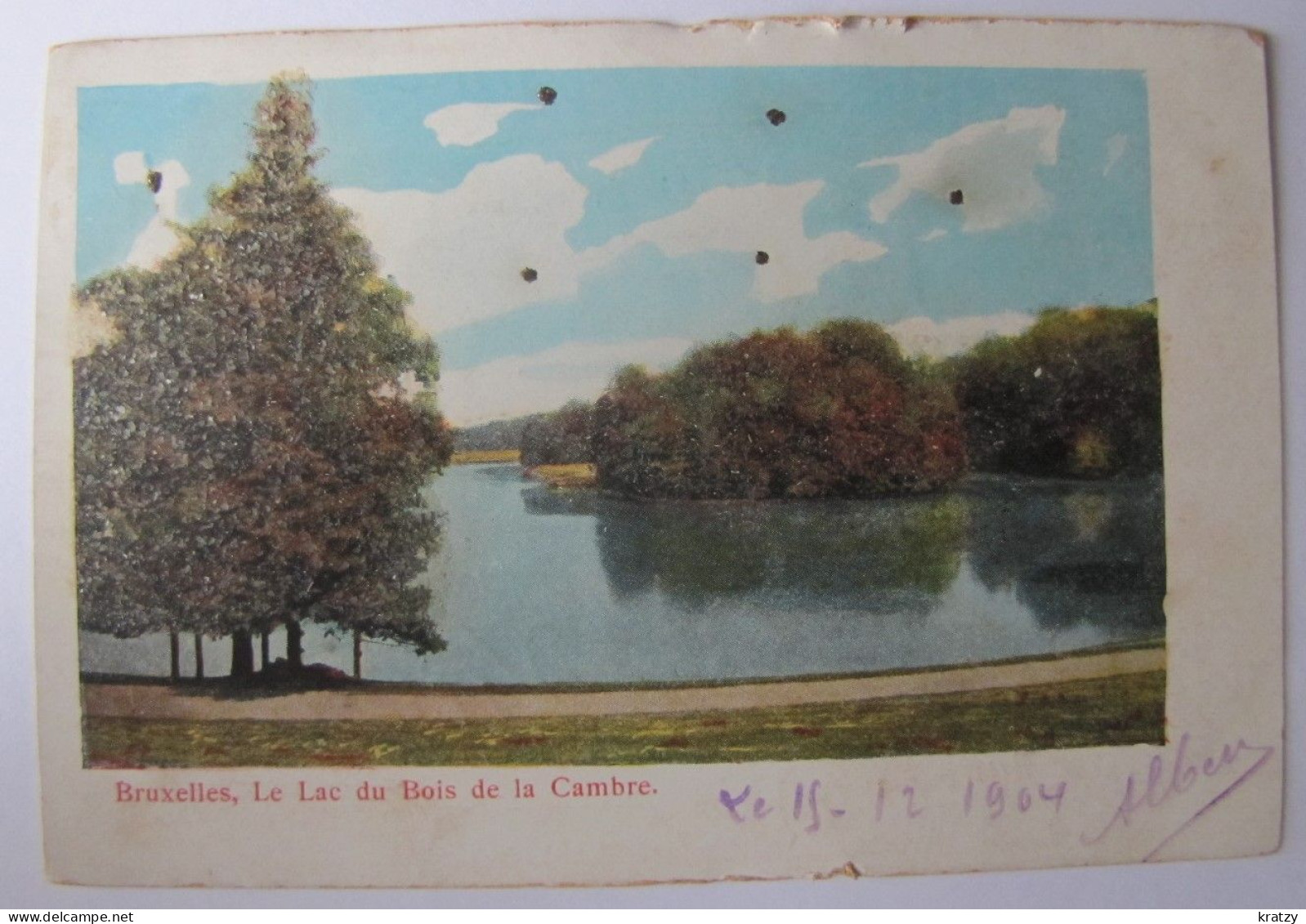 BELGIQUE - BRUXELLES - Bois De La Cambre - Le Lac - 1904 - Forêts, Parcs, Jardins