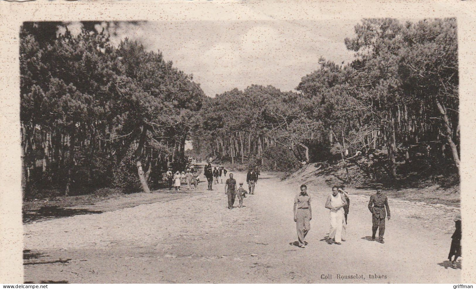 ILE D'OLERON ENVIRONS DE SAINT TROJAN VERT BOIS 1947 CPSM 9X14 TBE - Ile D'Oléron