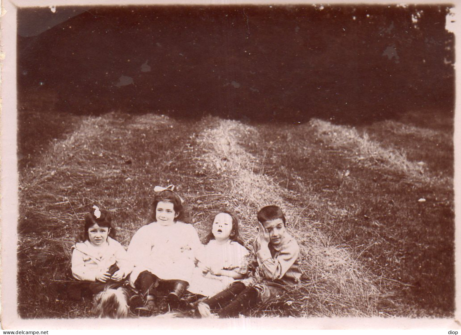 Photographie Photo Vintage Snapshot Groupe Enfant Herbe - Anonymous Persons