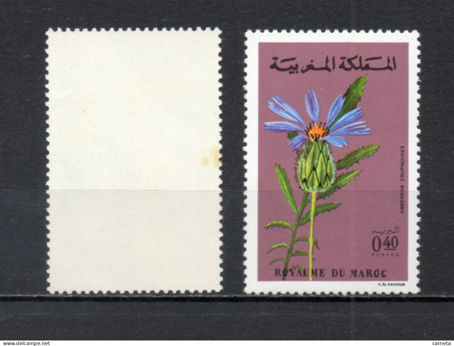 MAROC N°  648 + 649    NEUFS SANS CHARNIERE  COTE 2.50€     FLEUR FAUNE - Morocco (1956-...)