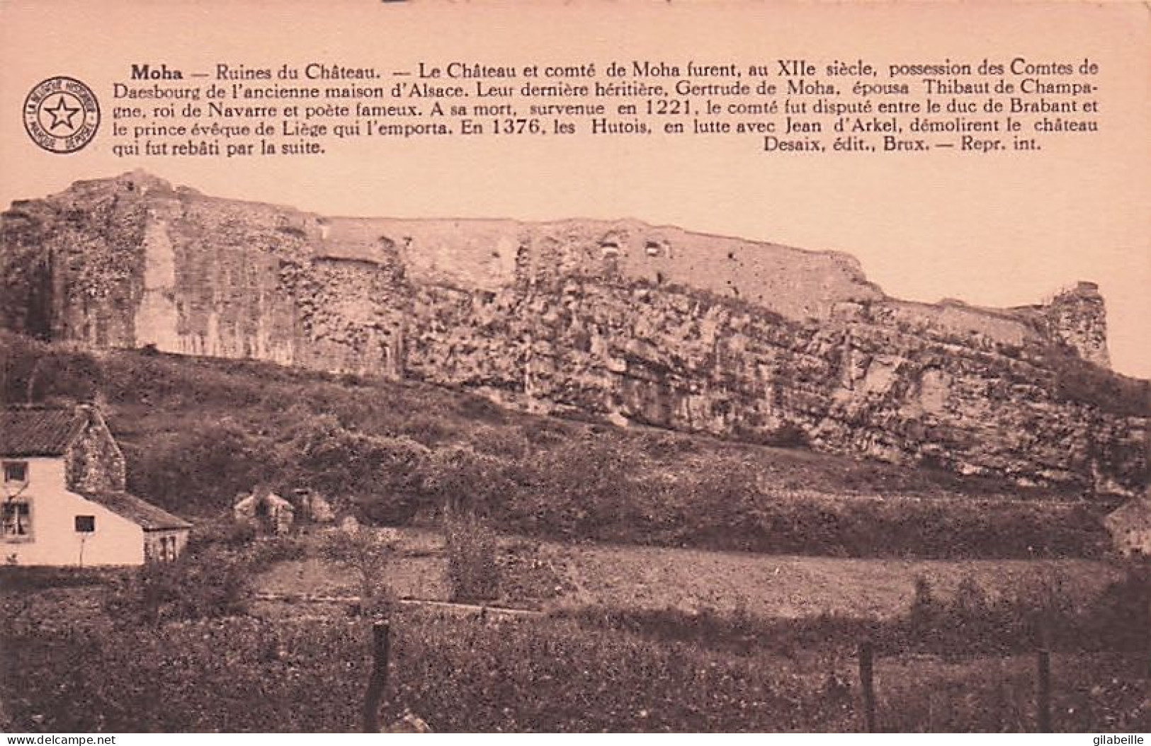 Wanze -  MOHA - Ruines Du Chateau - Wanze
