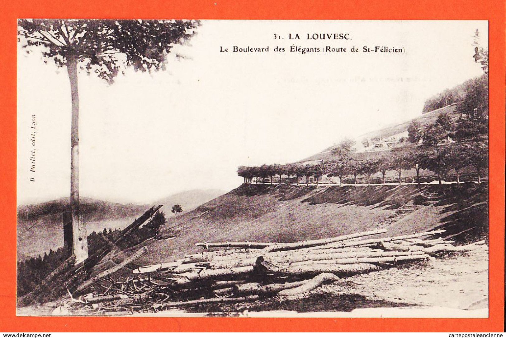 05572 ● LA LOUVESC 07-Ardèche Boulevard Des ELEGANTS Route SAINT-FELICIEN St 25 Aout 1905 De Jeanne BLANC - PAILLET 31 - La Louvesc