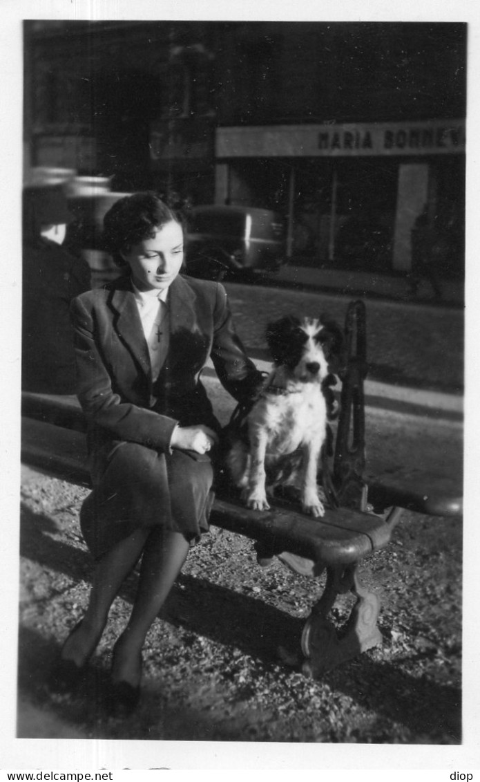Photographie Photo Vintage Snapshot Chien Dog Femme Mode Chic Banc - Other & Unclassified