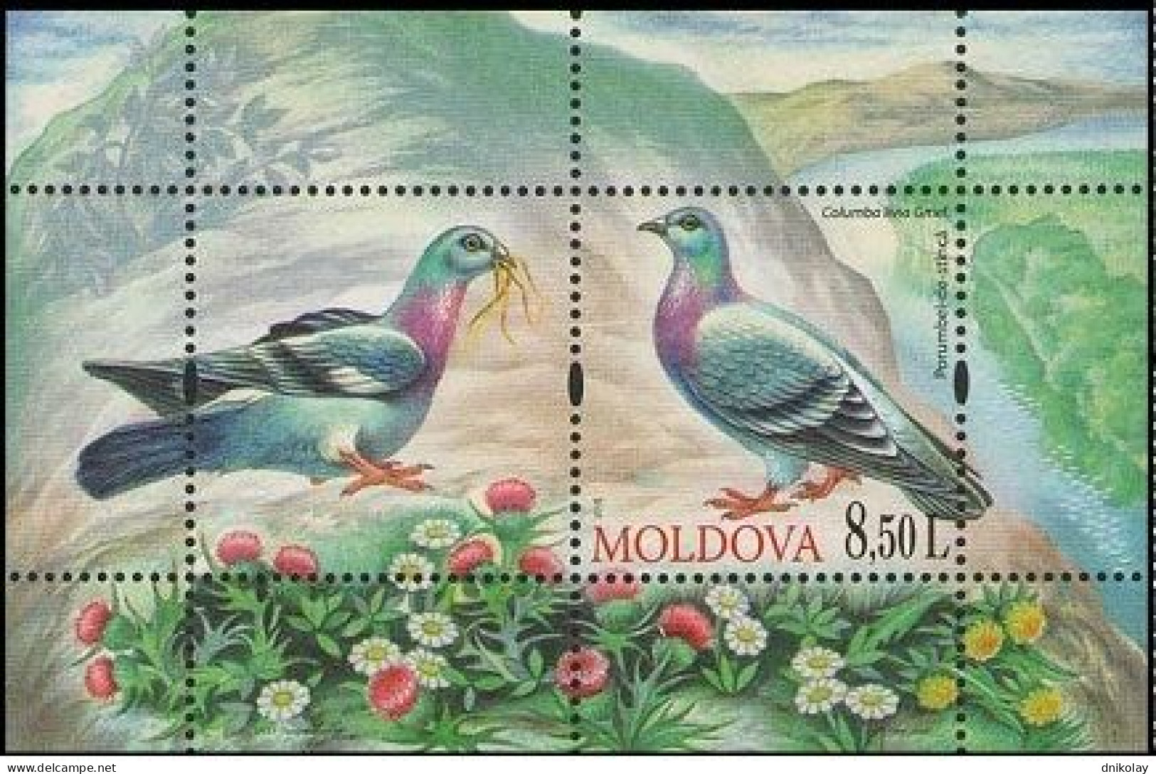 2010 708 Moldova Birds Columba Livia MNH - Moldavie