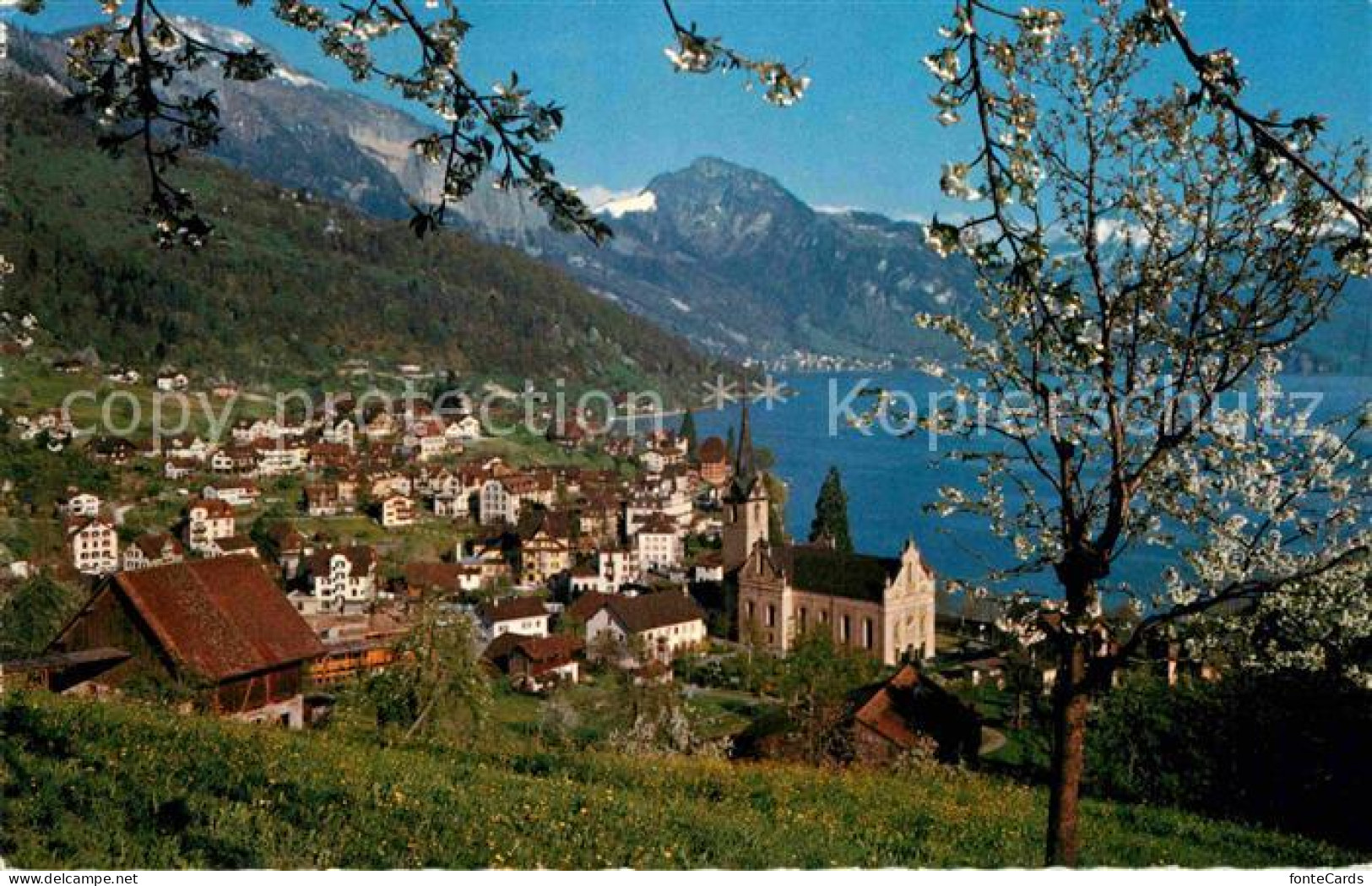 12744086 Weggis Vierwaldstaettersee Mit Rigi Weggis - Other & Unclassified