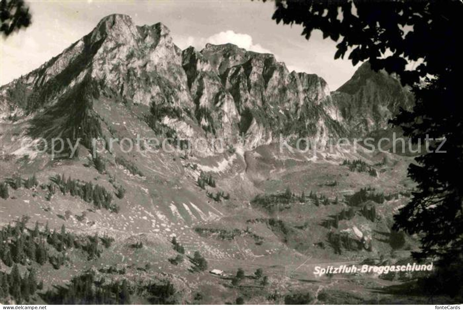 12737296 Schwarzsee Sense Spitzfluh Breggaschlund Schwarzsee - Autres & Non Classés