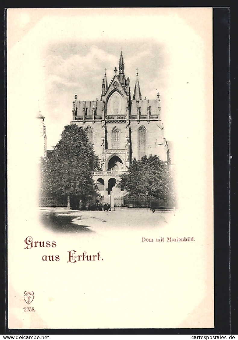 AK Erfurt, Dom Mit Marienbild  - Erfurt