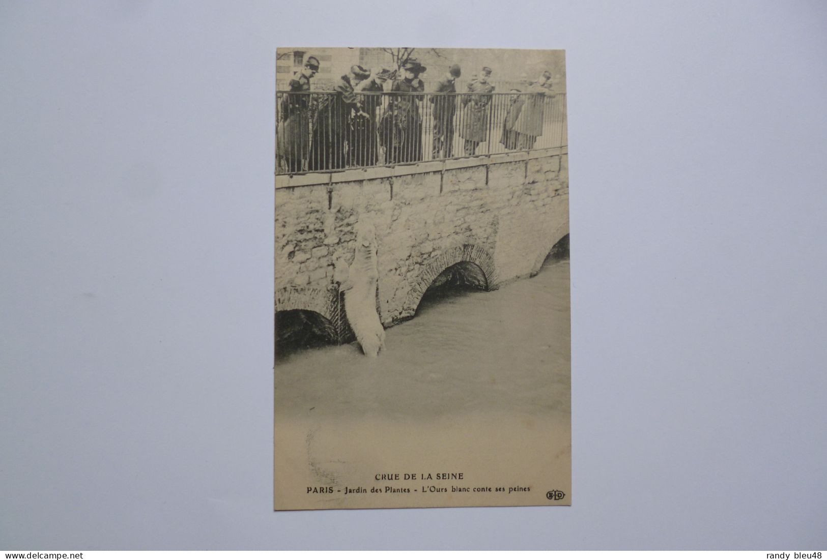 PARIS  -  Crue De La Seine  -  Jardin Des Plantes  -  L'Ours Blanc  - - De Overstroming Van 1910