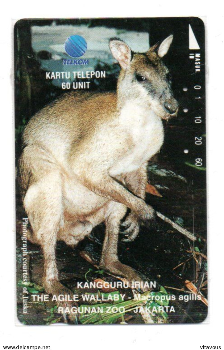 Kangourou Kanggurd Ibian  Télécarte Telkom Indonésie  Phonecard (K 364) - Indonesien