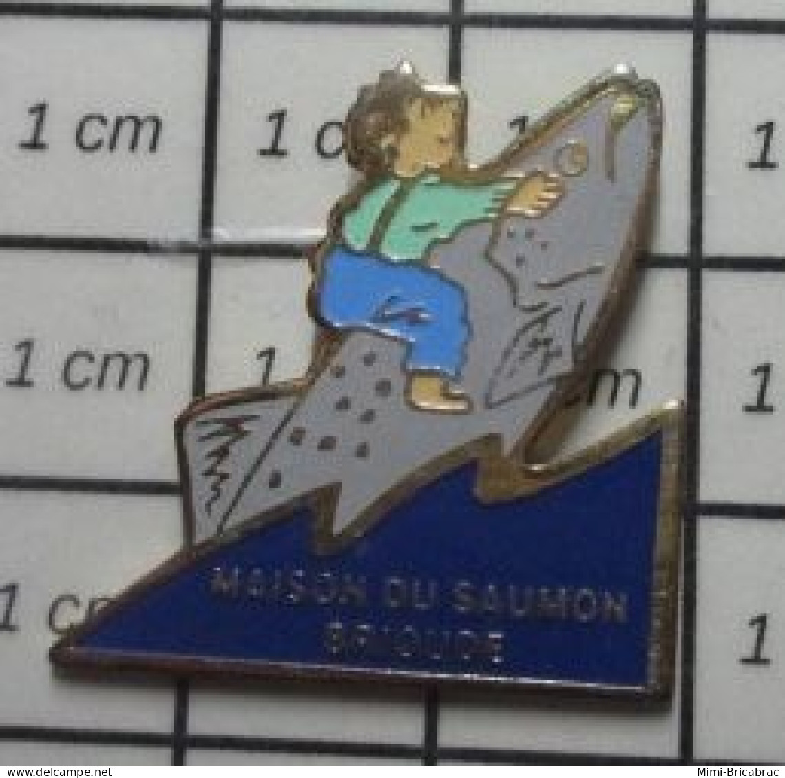 1310 Pin's Pins / Beau Et Rare : VILLES / BRIOUDE MAISON DU SAUMON POISSOn Par STADIUM - Steden
