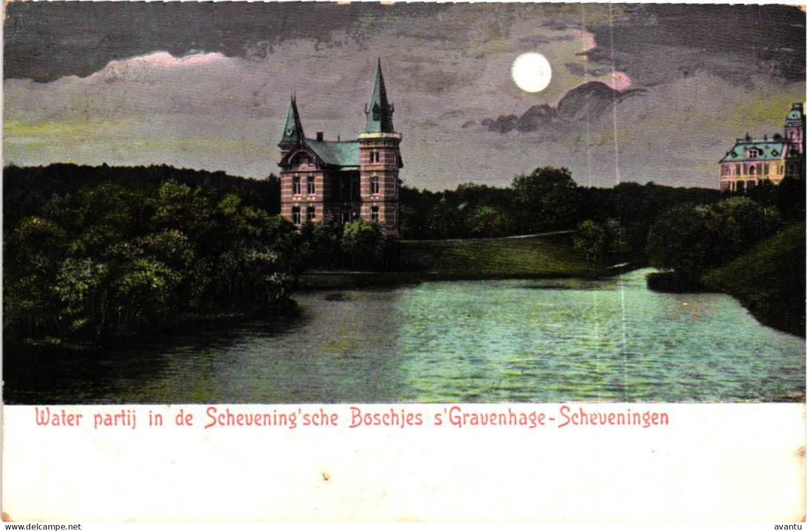 S GRAVENHAGE / SCHEVENINGSE BOSJES - Den Haag ('s-Gravenhage)