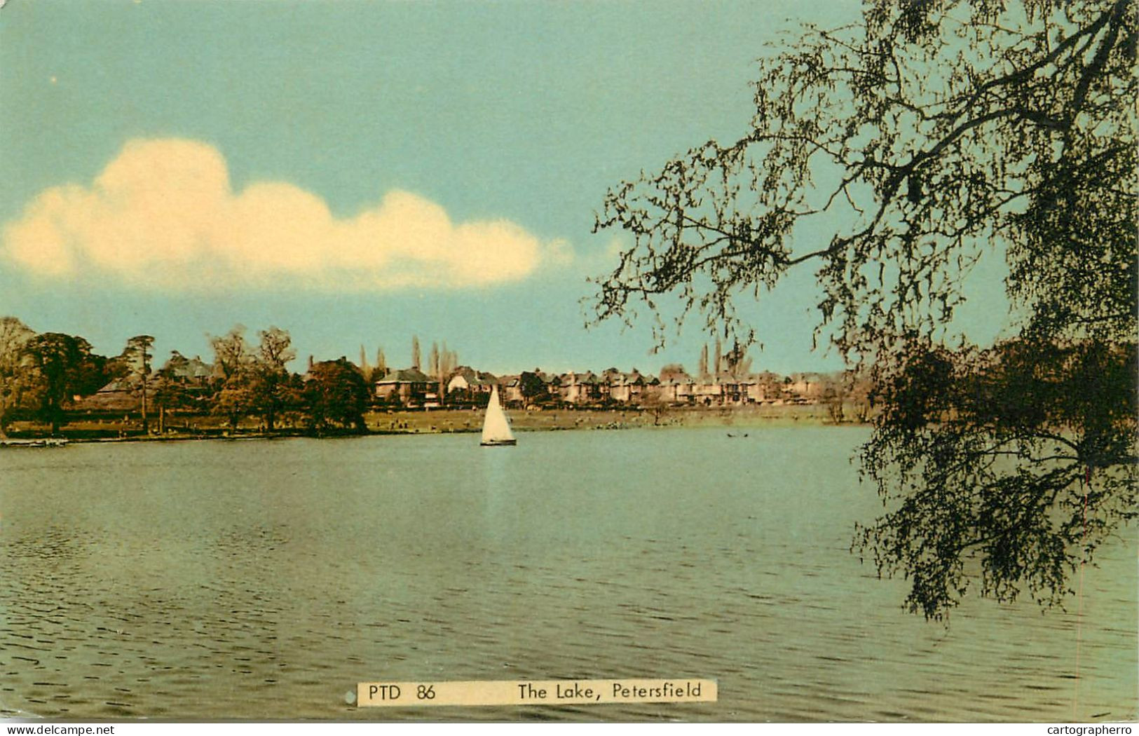 England Petersfield - On The Lake - Autres & Non Classés