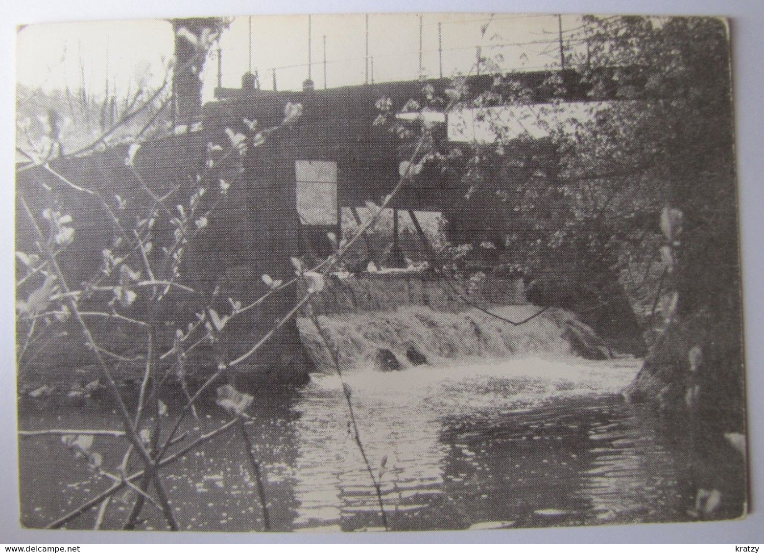 BELGIQUE - HAINAUT - CHIMAY - BAILEUX - La Platte Gouffre - Chimay