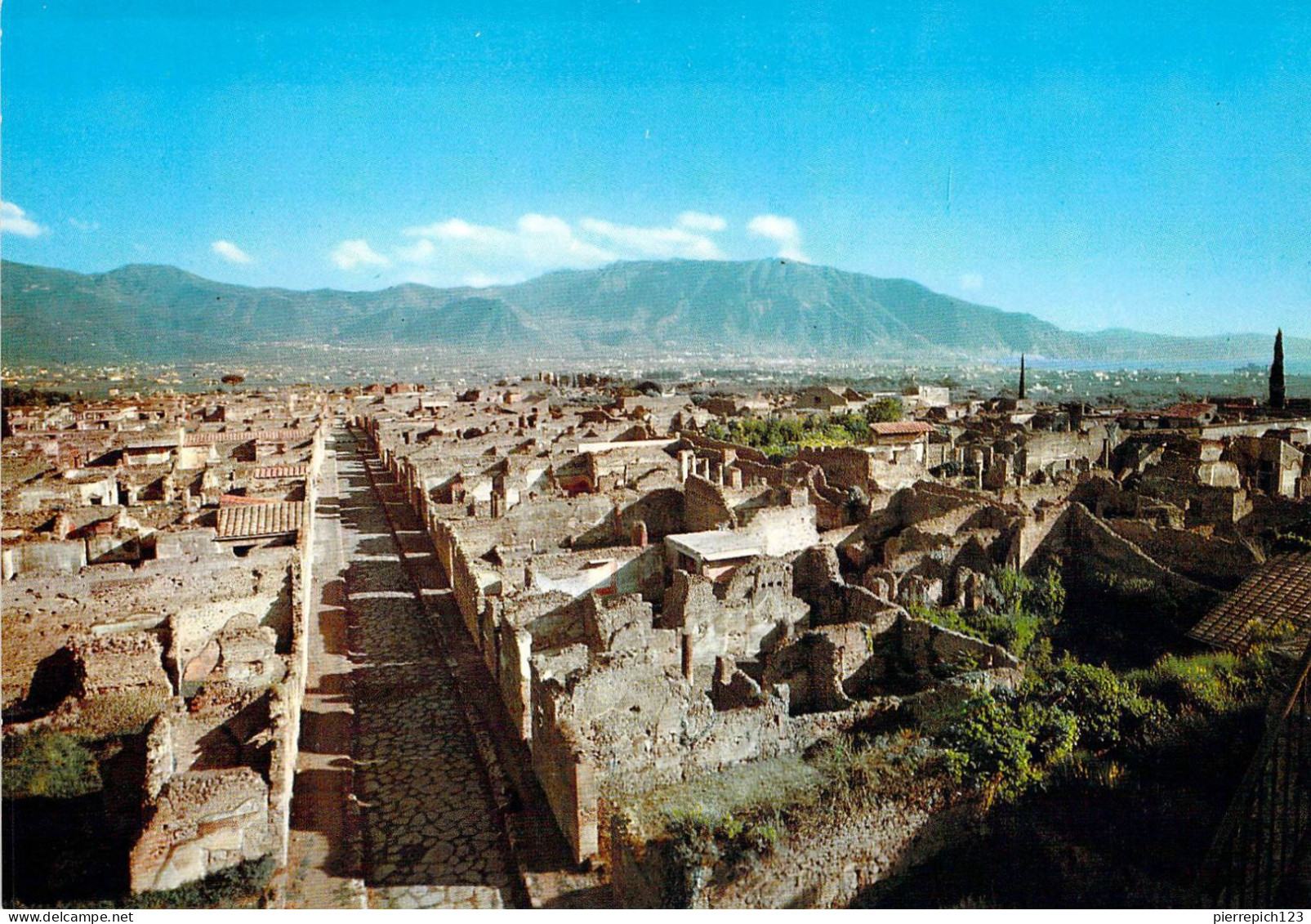 Pompéi - Panorama Des Fouilles - Pompei