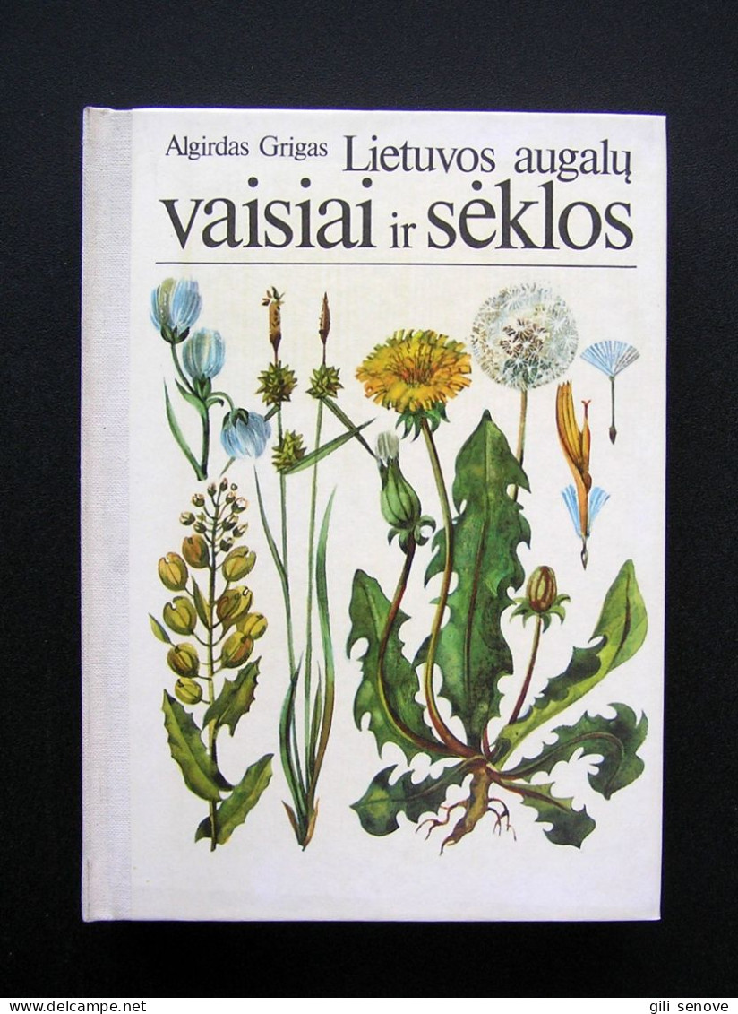 Lithuanian Book / Lietuvos Augalų Vaisiai Ir Sėklos By Grigas 1986 - Cultura