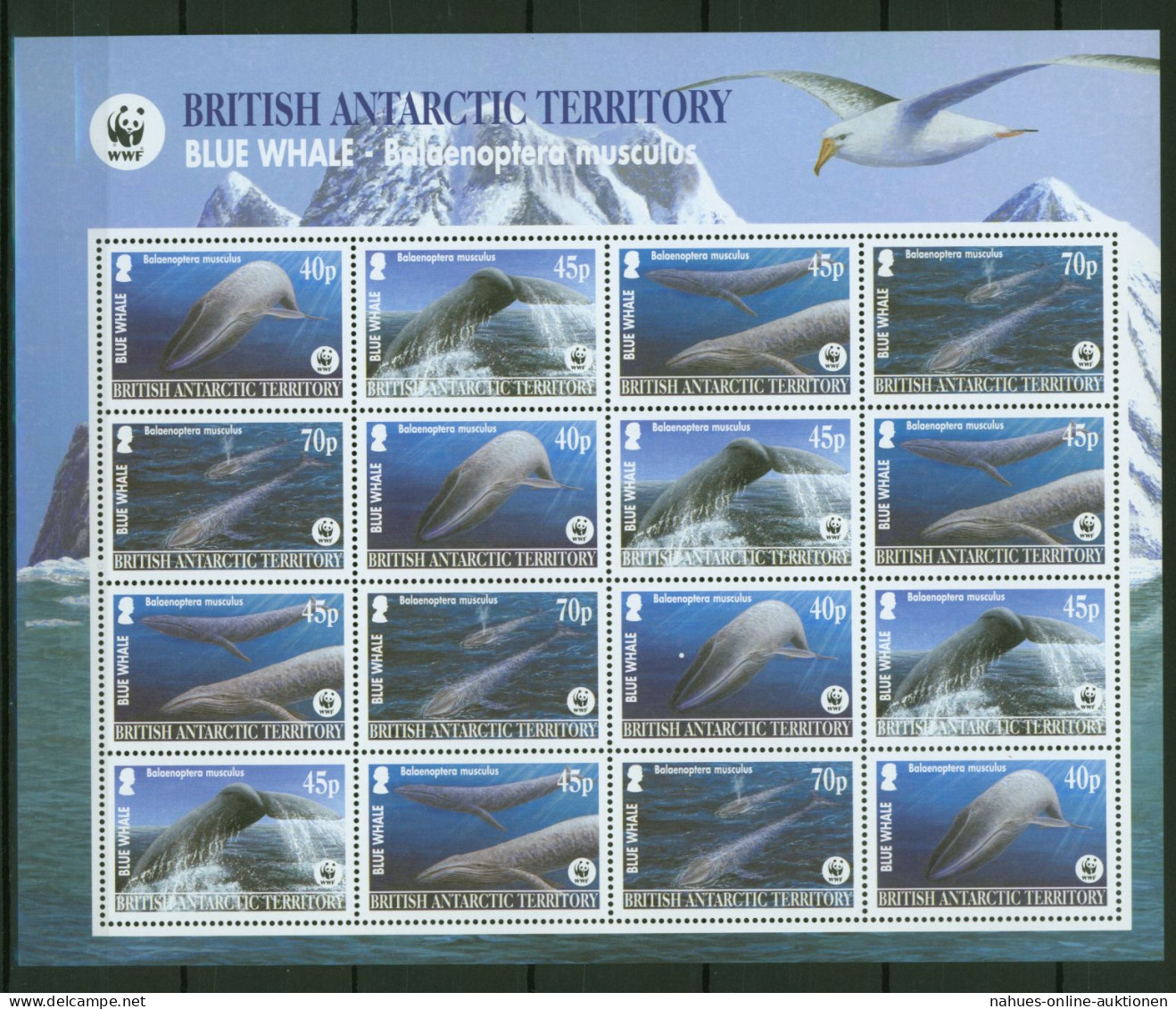 Britische Antarktis 353-356 WWF Wale Meeressäuger Kleinbogen Tiere Luxus ** MNH - Lettres & Documents
