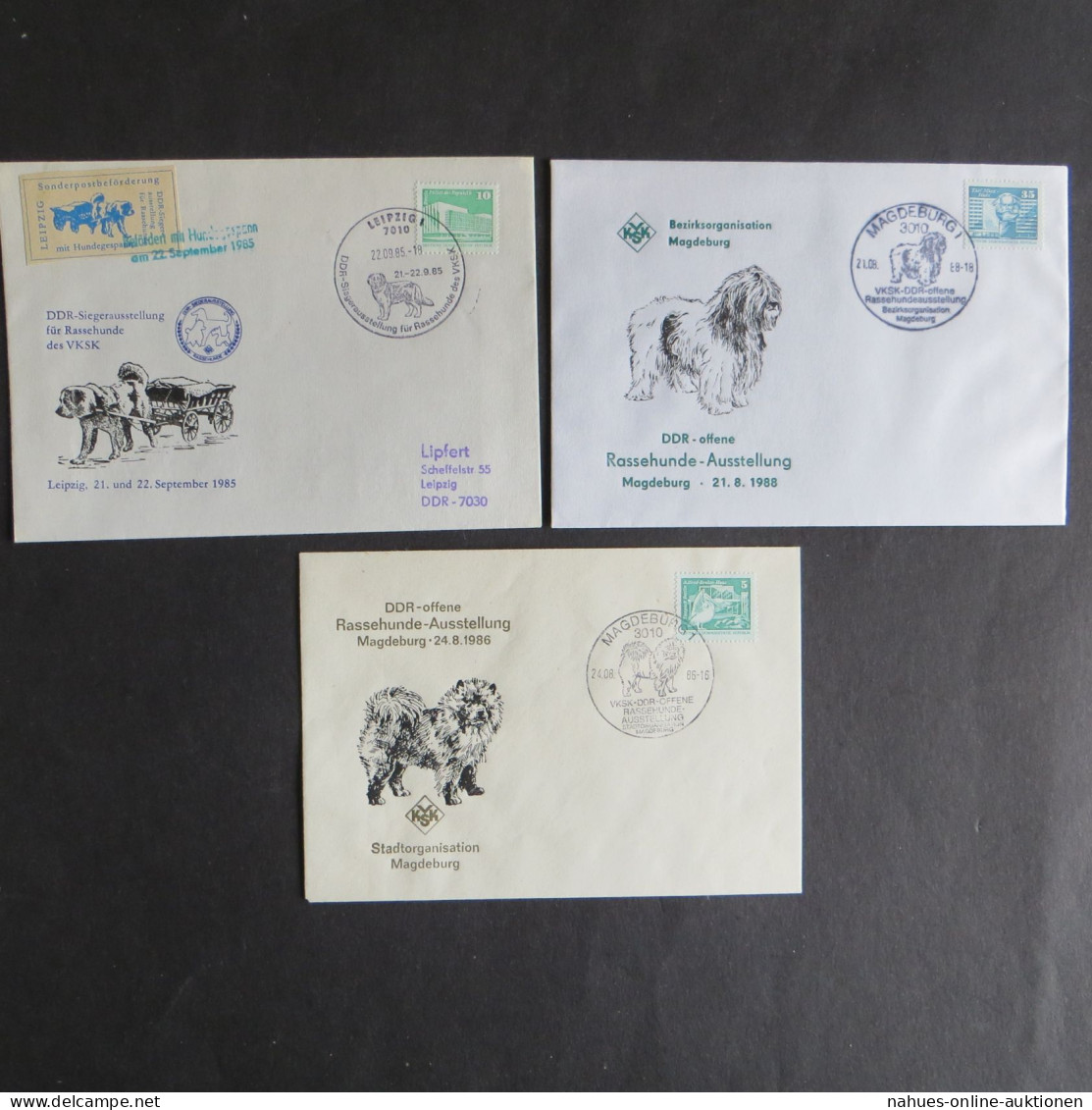 Briefe Und Karten Sammlung Motiv Hunde DDR Mit Inter. Vielfalt 7 Stück Dabei - Covers & Documents