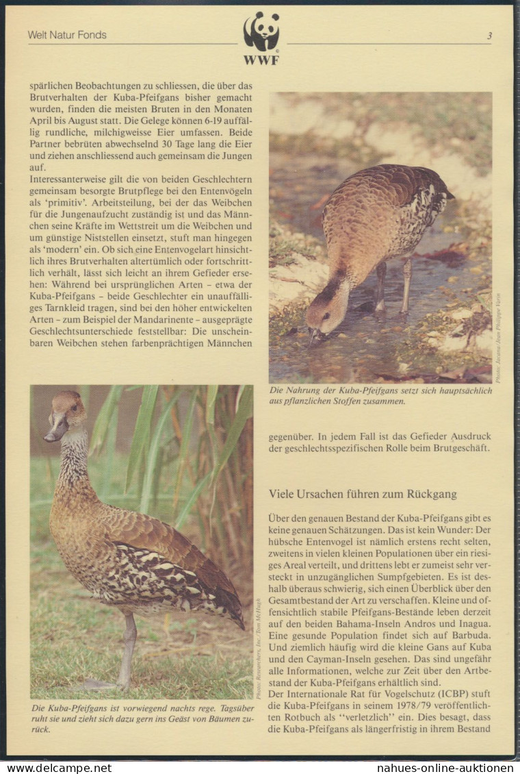 WWF Bahamas 672-675 Tiere Vögel Pfeifgans Kpl. Kapitel Bestehend - Bahamas (1973-...)
