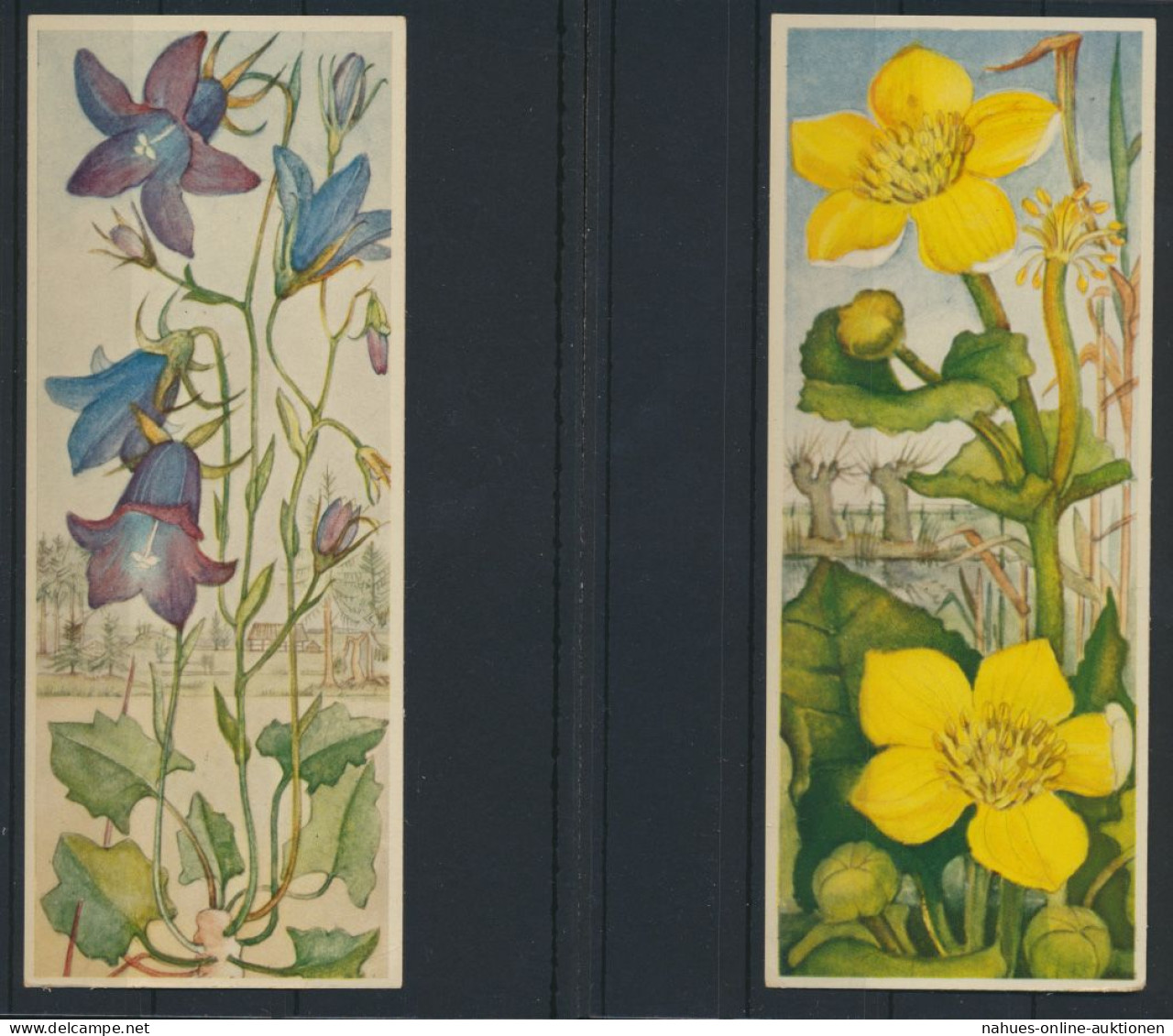 Sammelbilder Sparkasse Ulm Söflingen 8 Stück Sehr Schön Mit Blumenmotiv Pflanzen - Album & Cataloghi