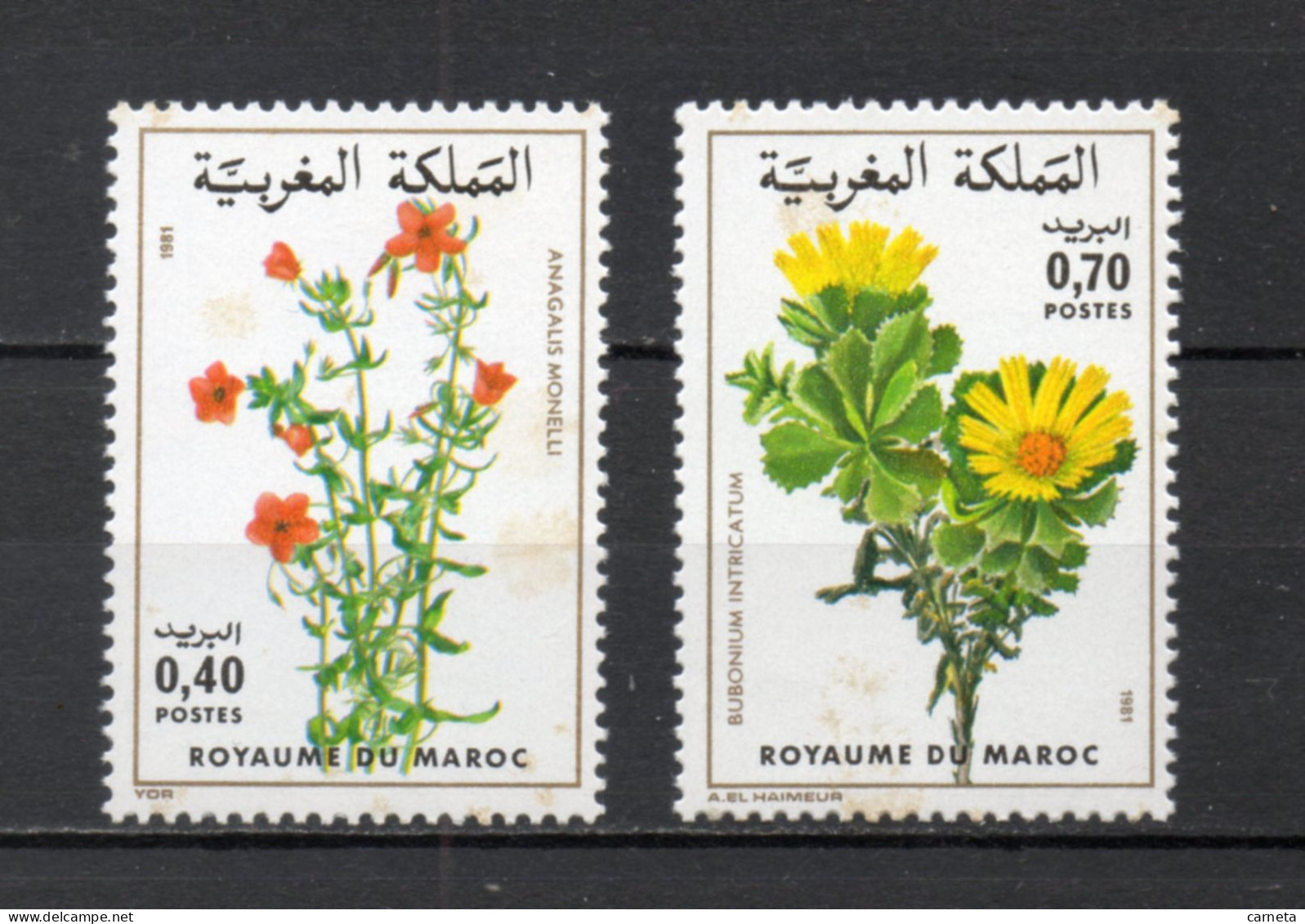 MAROC N°  880 + 881    NEUFS SANS CHARNIERE  COTE 3.50€    FLEUR FLORE VOIR DESCRIPTION - Marokko (1956-...)