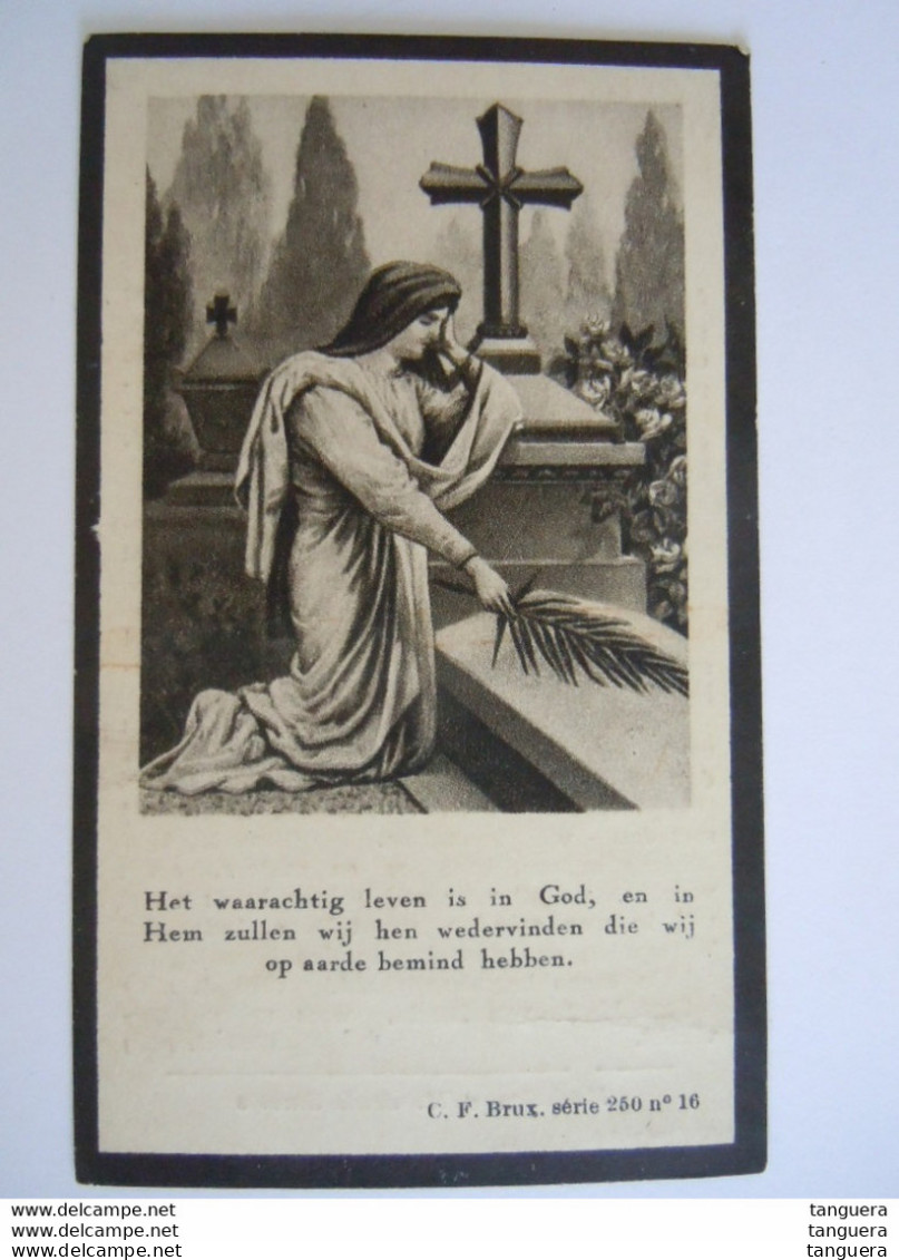 Doodsprentje Maria Aelberts Boorsheim 1899 1930 Lid Derde Orde - Devotion Images
