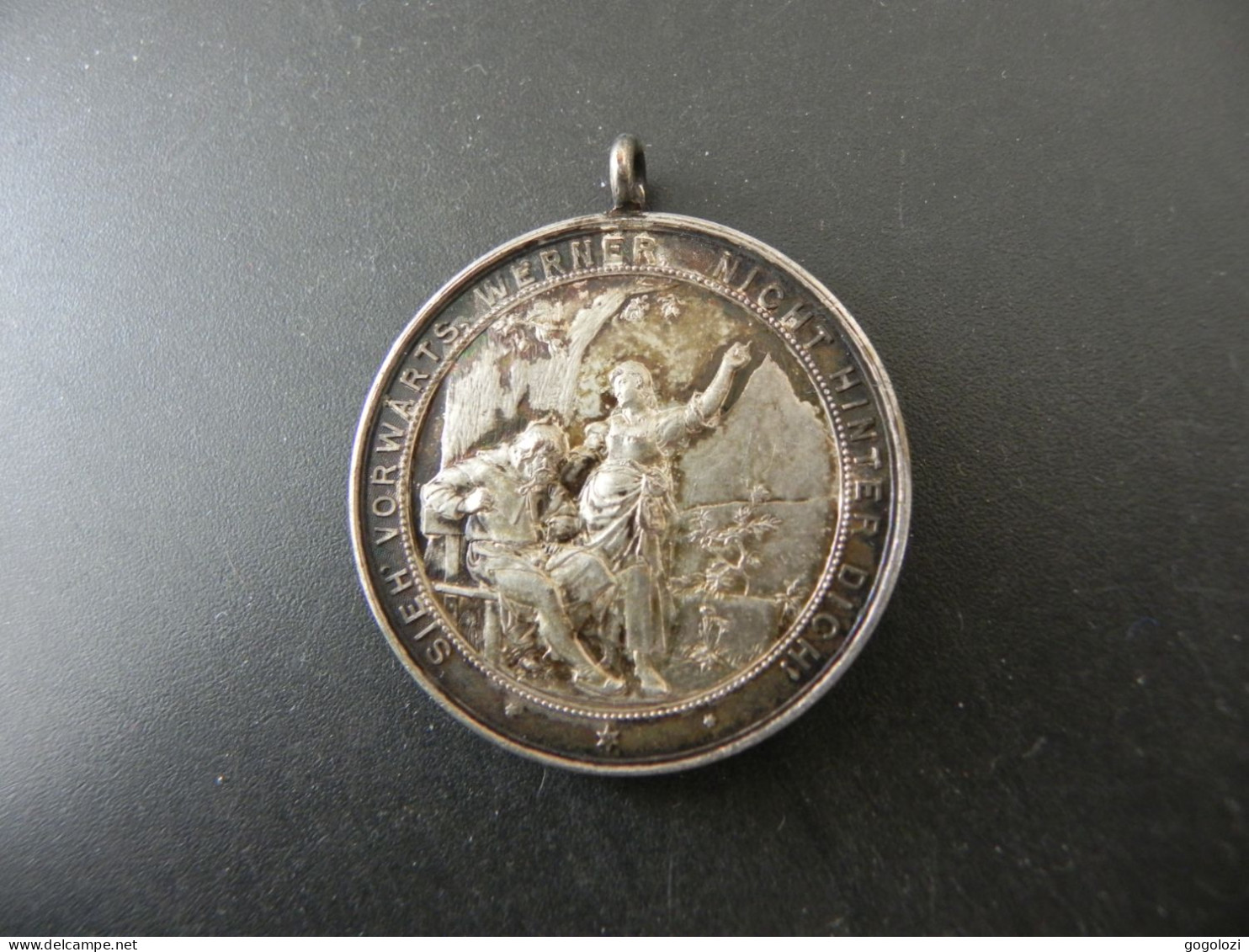 Medaille Medal - Schweiz Suisse Switzerland - Zur Feier Der Enthüllung Des Tell Denkmals Altdorf 1895 - Andere & Zonder Classificatie
