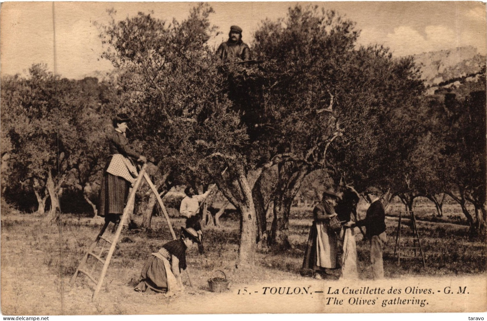 83 TOULON - LOT de 20 cpa sorties d'un album familial - voir tous les scans