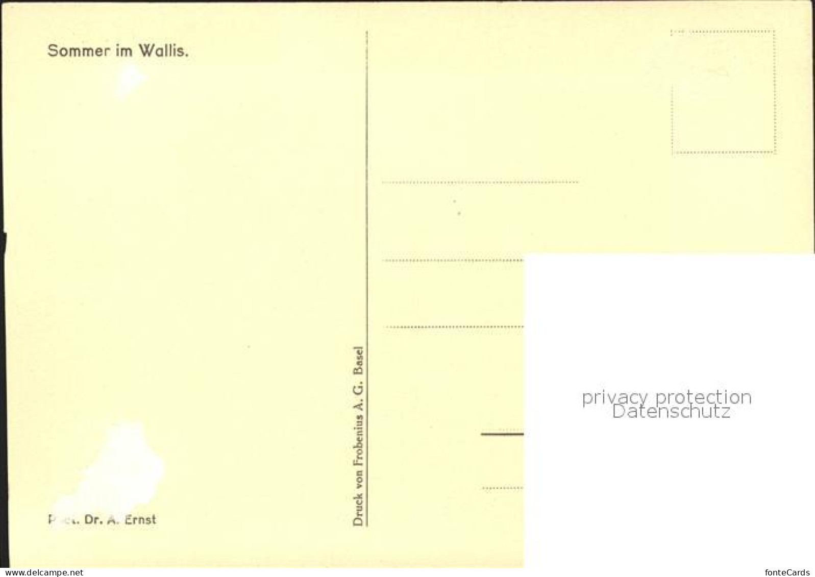 11635404 Wallis Valais Kanton Sommer In Bergen Kuehe Kind Sion - Otros & Sin Clasificación