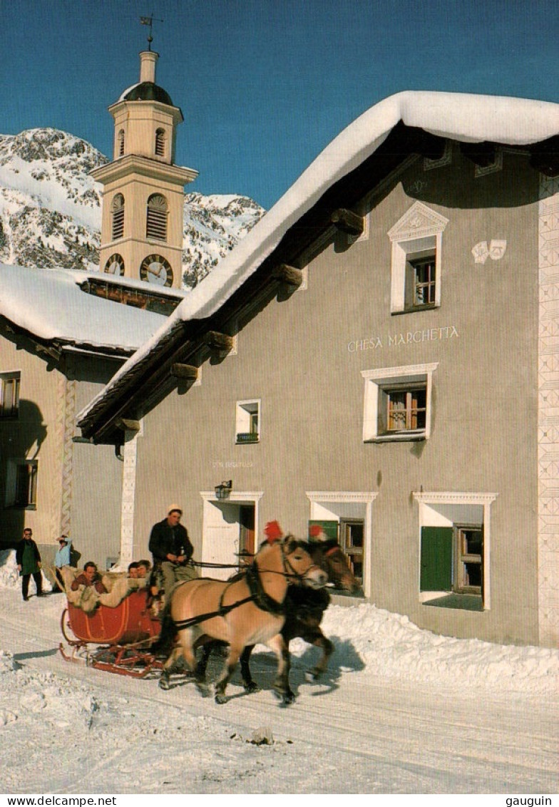 CPM - SIL-MARIA - Visite Du Village (Balade à CHEVAL Traîneau) - Edition Hans Steiner - Sils Im Engadin/Segl