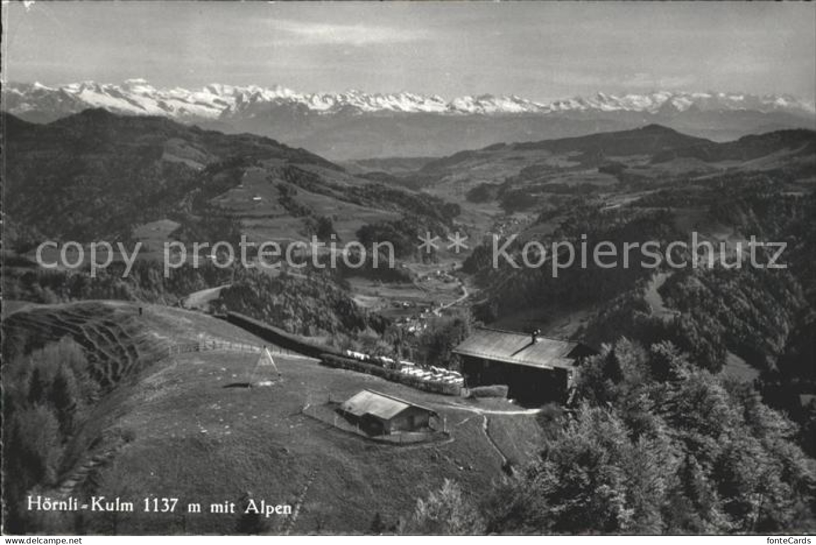 11635330 Steg Toesstal Berggasthaus Hoernli Kulm Alpenpanorama Steg Im Toesstal - Sonstige & Ohne Zuordnung