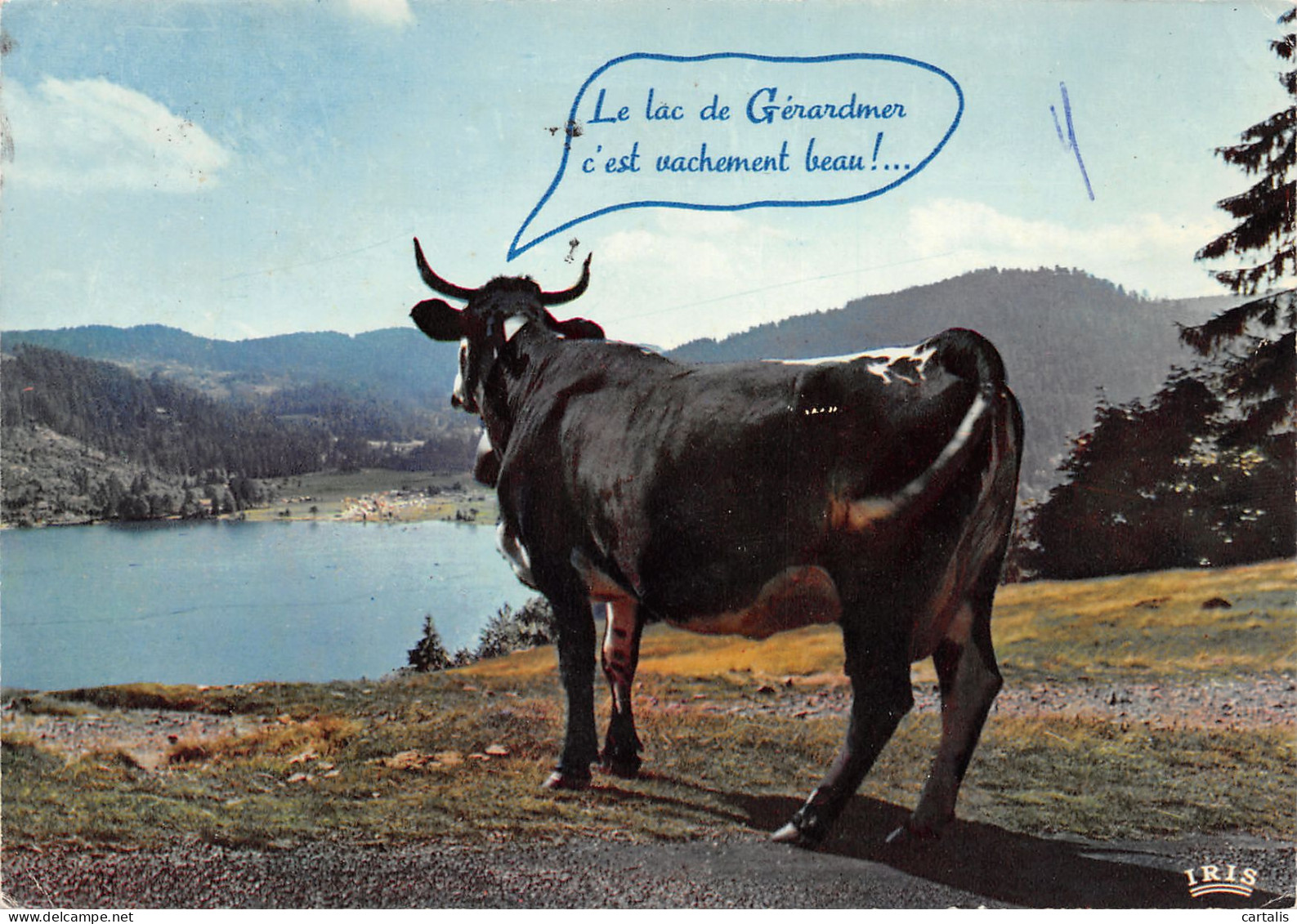 88-GERARDMER-N°3793-A/0321 - Gerardmer