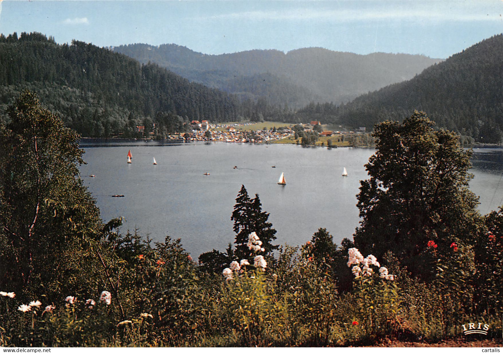 88-GERARDMER-N°3793-A/0003 - Gerardmer