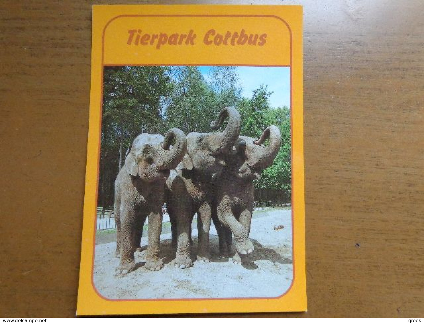 Zoo, Dierenpark, Tierpark / Tierpark Cottbus, Asiatische Elefanten --> Unwritten - Elefanti