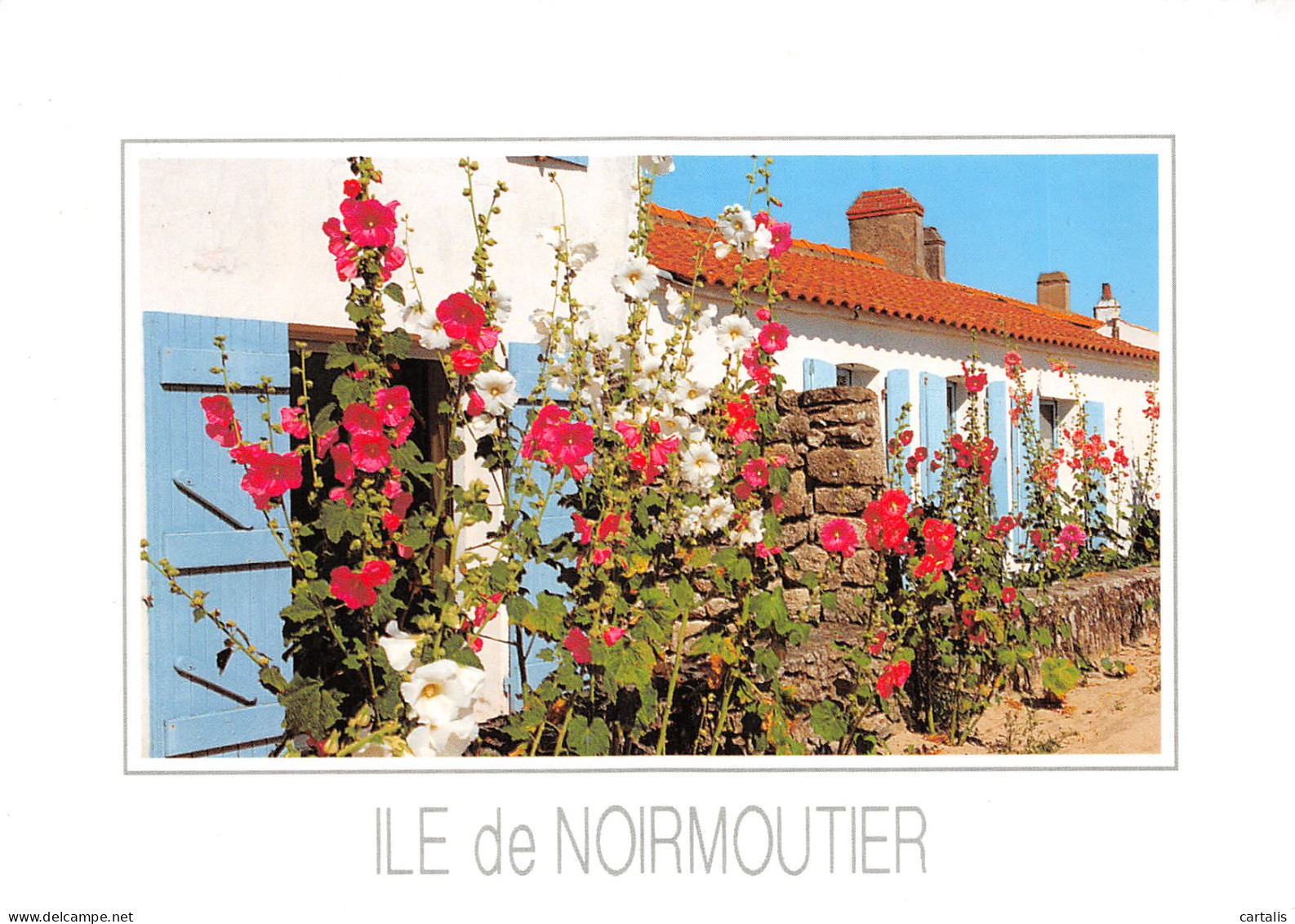 85-NOIRMOUTIER-N°3793-D/0099 - Noirmoutier