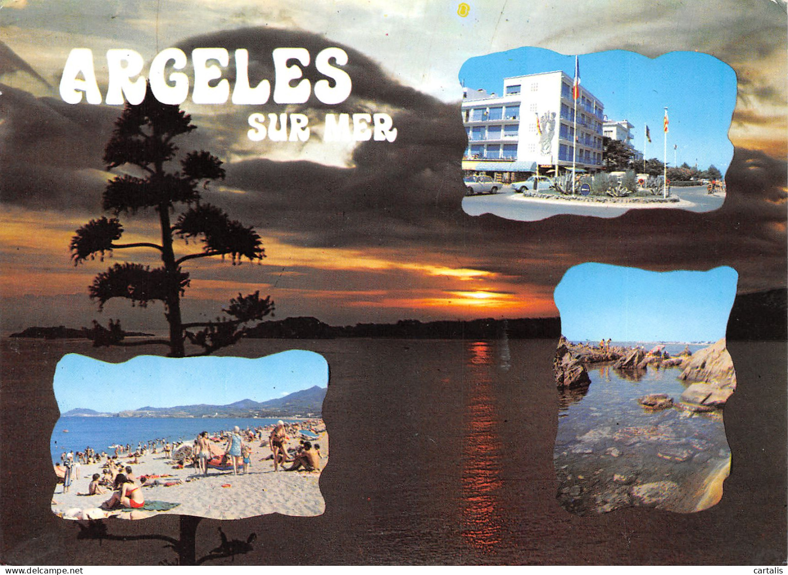 66-ARGELES SUR MER-N°3793-D/0023 - Argeles Sur Mer