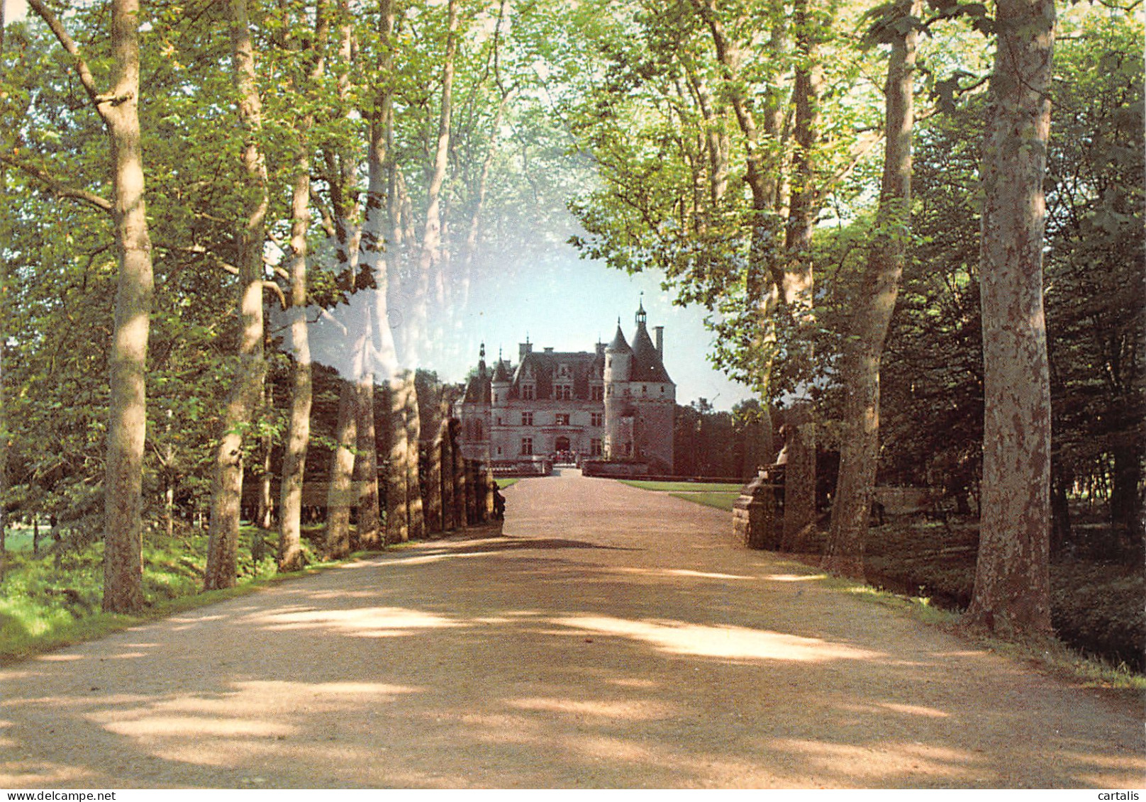 37-CHENONCEAUX-N°3794-C/0203 - Chenonceaux