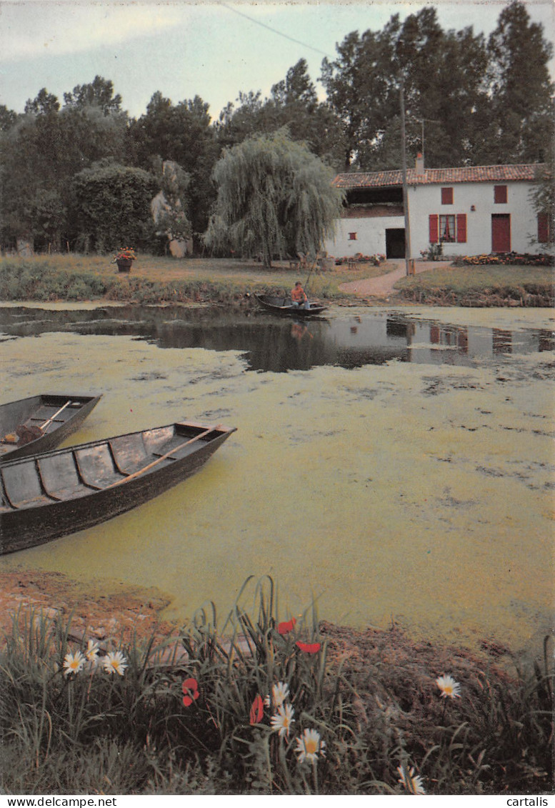 79-MARAIS POITEVIN-N°3794-A/0241 - Other & Unclassified