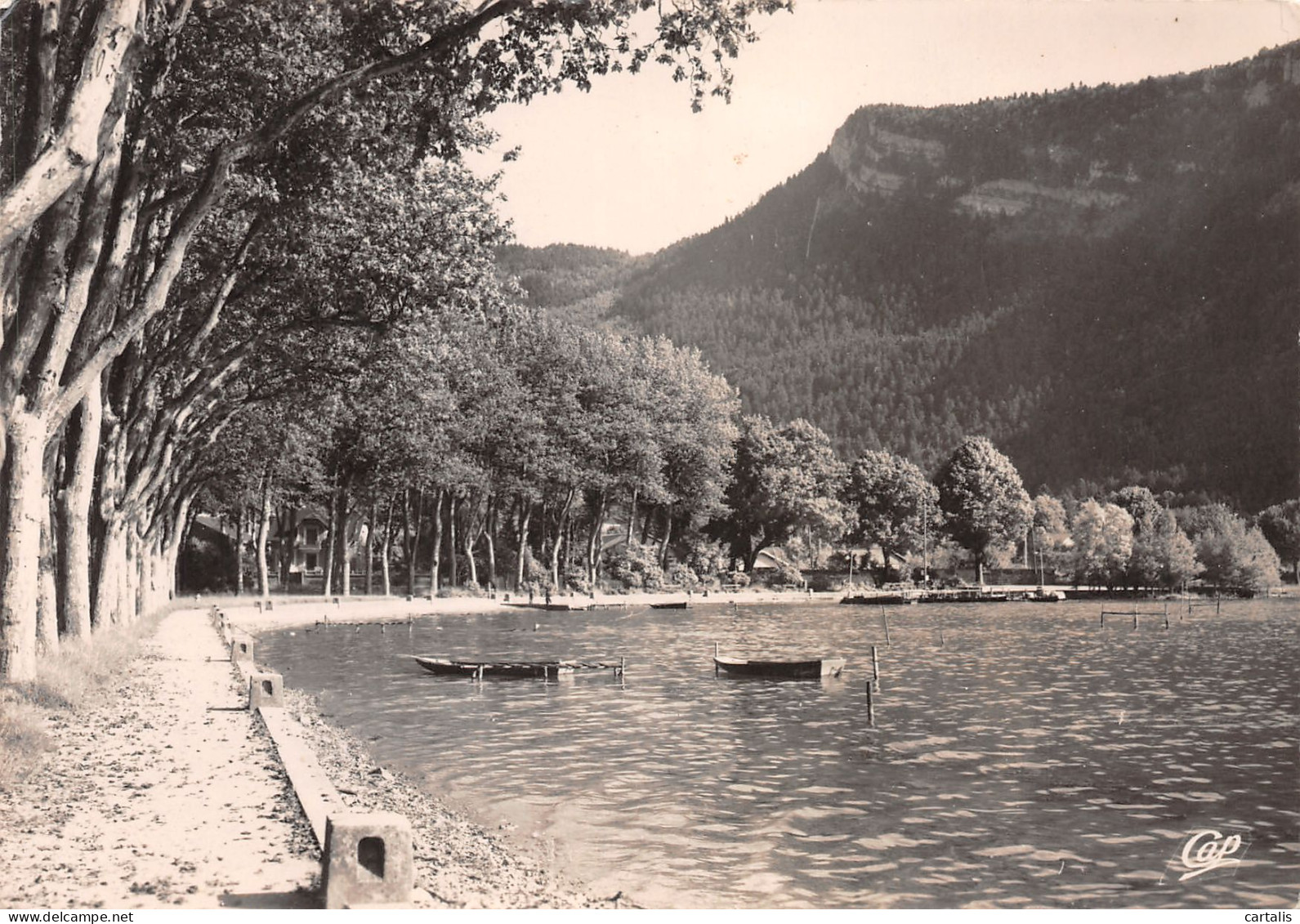 01-NANTUA-N°3795-A/0111 - Nantua