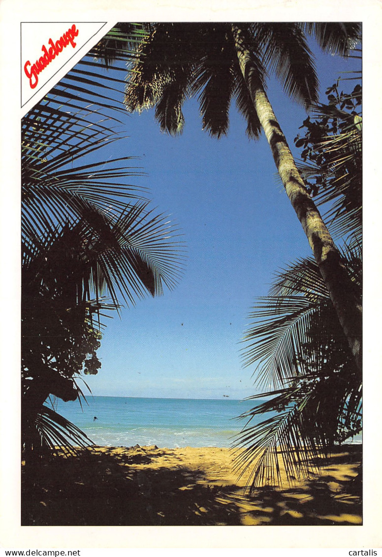 971-GUADELOUPE-N°3795-B/0145 - Andere & Zonder Classificatie