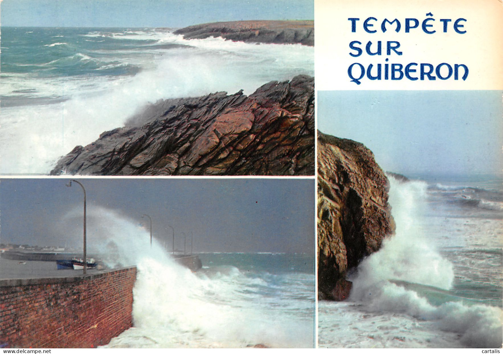 56-QUIBERON-N°3795-A/0177 - Quiberon