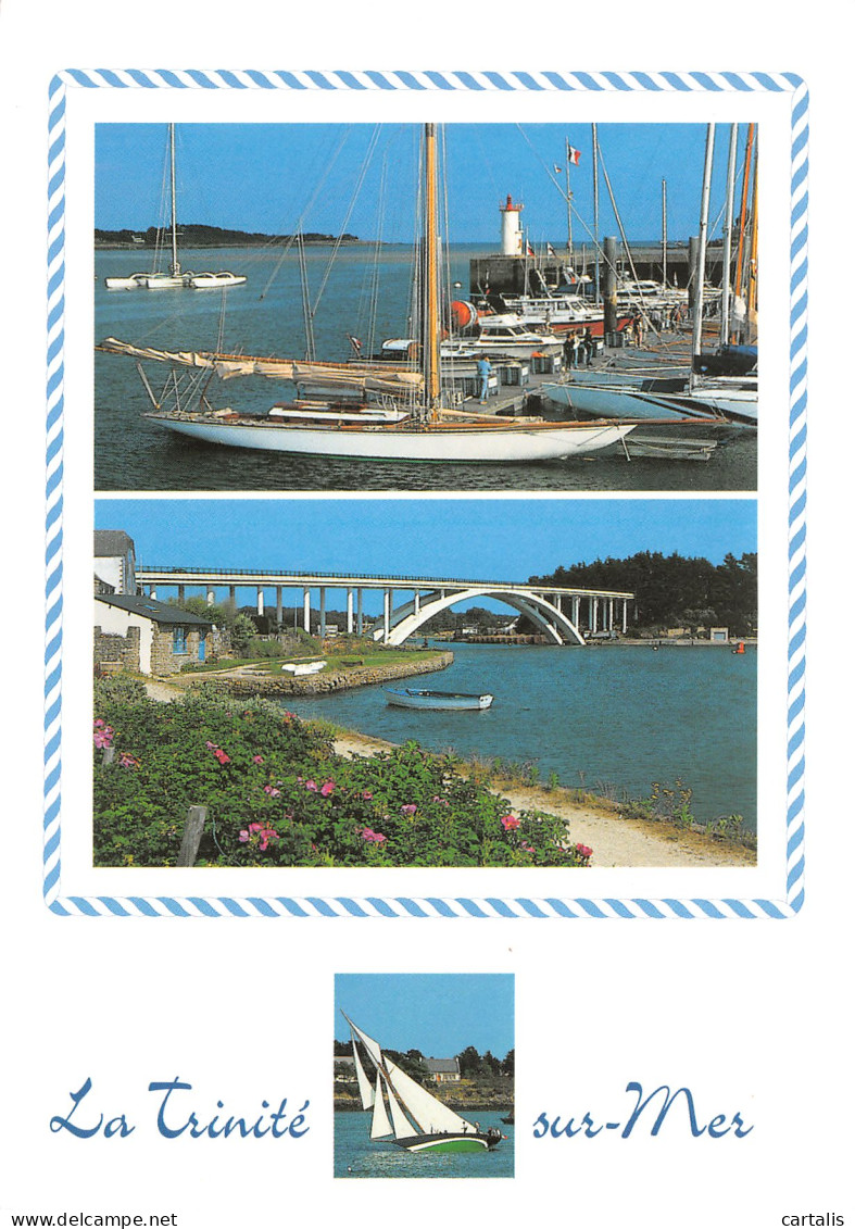 56-LA TRINITE SUR MER-N°3795-D/0051 - La Trinite Sur Mer