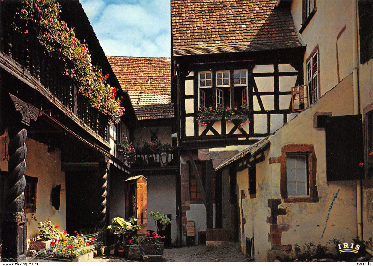 68-RIQUEWIHR-N°3796-C/0273 - Riquewihr