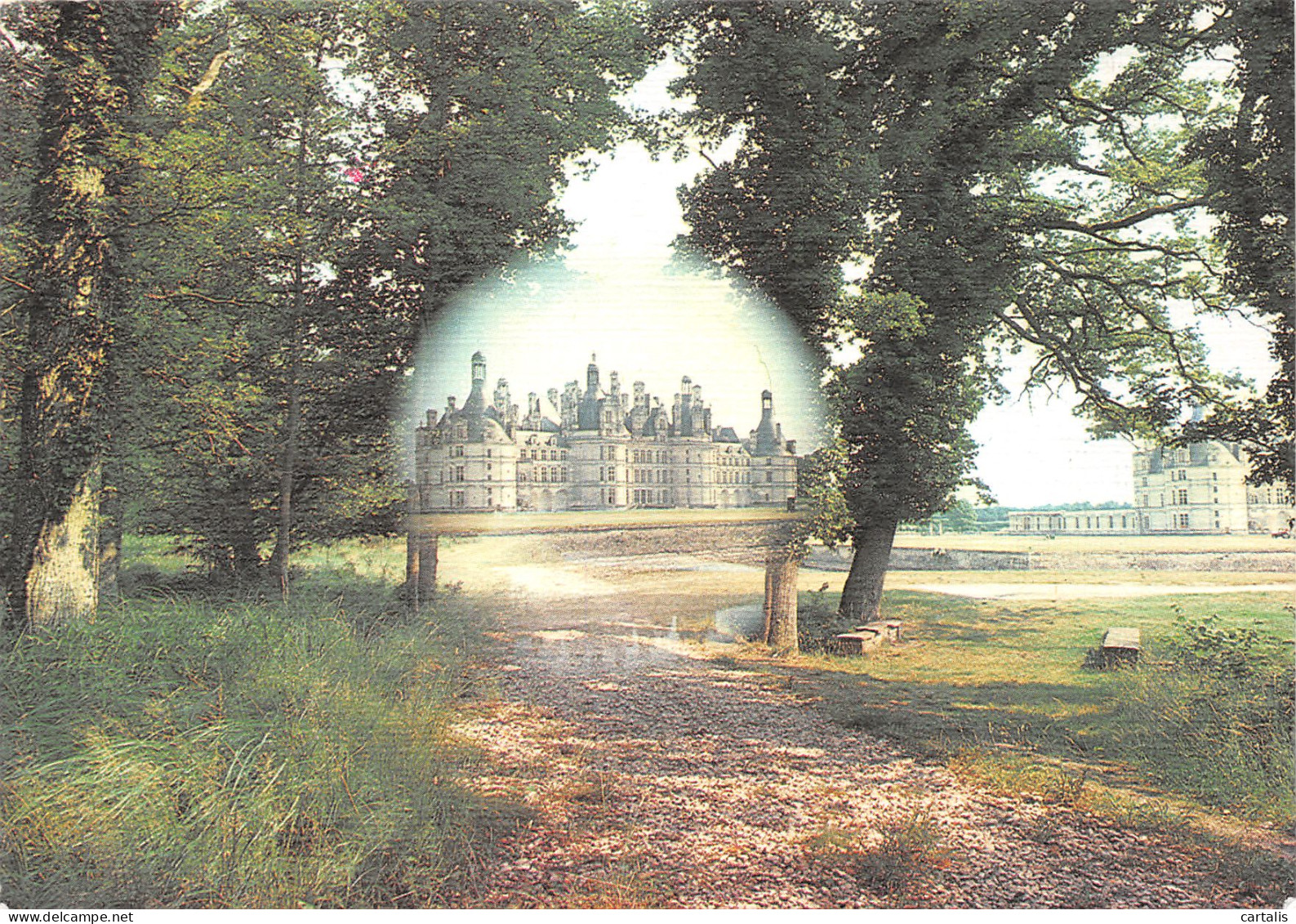 41-CHAMBORD-N°3796-A/0253 - Chambord